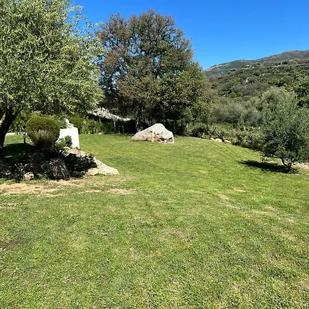 Recente Avec Piscine Proche L'ile Rousse