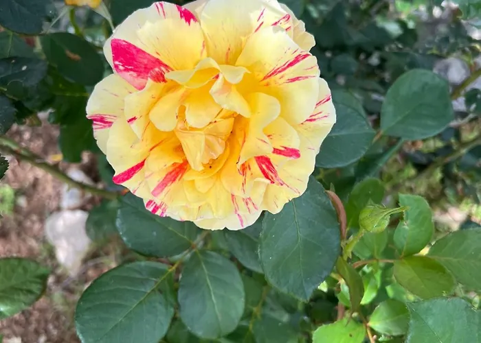 Recente Avec Piscine Proche L'ile Rousse Villa *