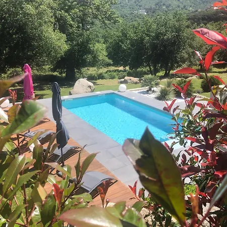 Villa Recente Avec Piscine Proche L'ile Rousse