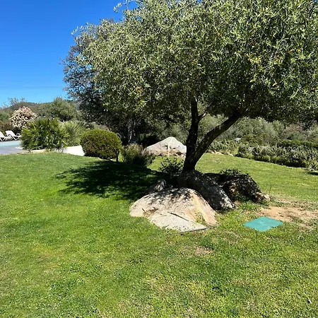 Villa Recente Avec Piscine Proche L'ile Rousse