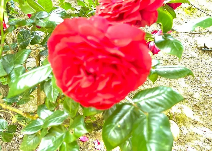 Villa Recente Avec Piscine Proche L'ile Rousse Ville-di-Paraso