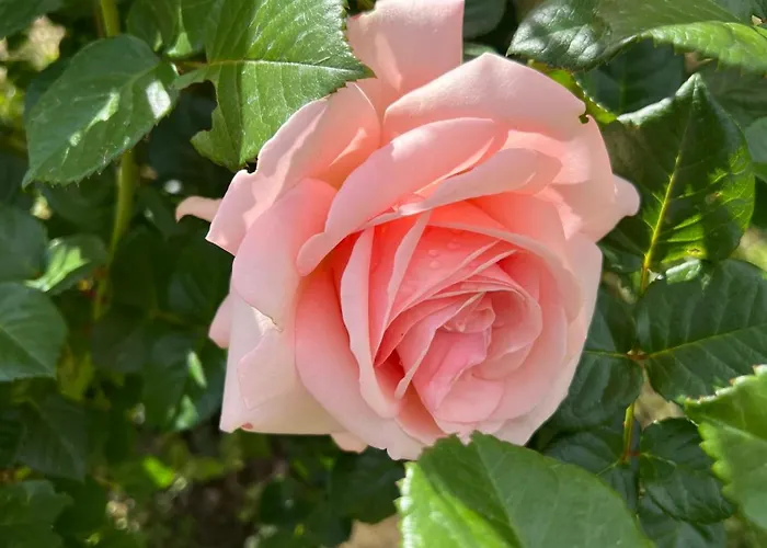 Recente Avec Piscine Proche L'ile Rousse Villa